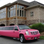 Carolina Luxury Transportation Group pink limo at Shadow Springs for an NC Winery Tour