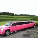 Carolina Luxury Transportation Group has the only Pink Limo in Charlotte that offers the best NC Wine Tours at Shadow Springs