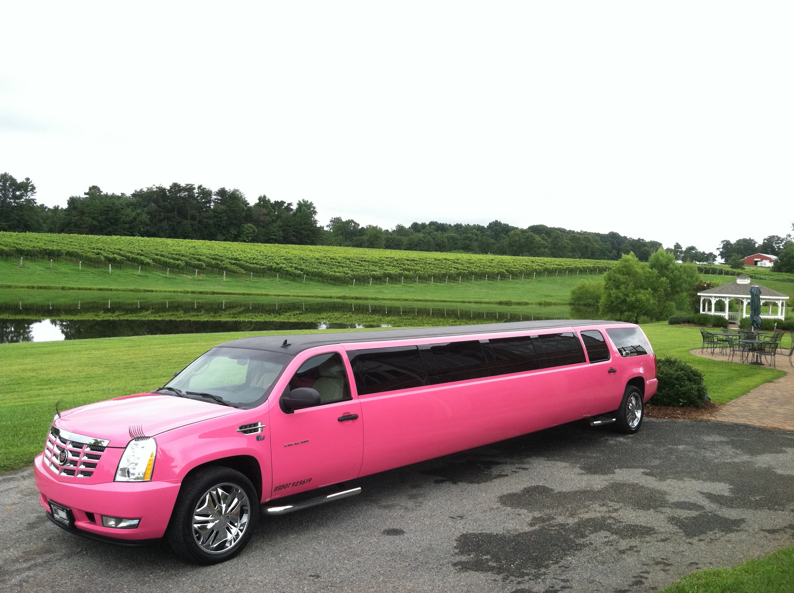 Carolina Luxury Transportation Group has the only Pink Limo in Charlotte that offers the best NC Wine Tours at Shadow Springs